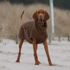 THE DOG IDEA Bademantel Every Braun XXXS -Hundebedarf Rabatte 62c517832f7f923b83b0a0ee681a77b2e33cc3c3 1473036 de DE 2393ef51979dd0191b0261c826741cb7543b7b3brAaZfV