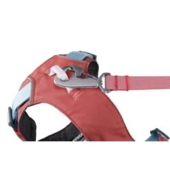 Ruffwear Flagline™ Geschirr Pink L-XL 9 Ruffwear Flagline™ Geschirr Pink L-XL -Hundebedarf Rabatte 6336745b38eb1dda3aa9b7ee2cb80b972fcc0b45 1444288 de DE e2428f2000ec8338e10a272ee848e3c44342d5c4R6HQ0p