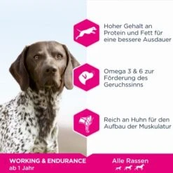 Hundebedarf Rabatte -Hundebedarf Rabatte 64877b3498190d0ee5261d068b7725c4d9d3f7aa 1069018 de DE asf