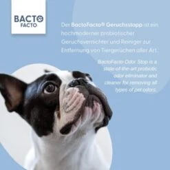 ChronoBalance BactoFacto Probiotischer Geruchsstopp Pads Für 2 Liter 20 Ml -Hundebedarf Rabatte 6515b6e6800e68909a0a5f7e0f816613e8c36542 1397549 de DE 9a466fcf5c88e78df191b07c6d764f4746df49dcxtsIbT