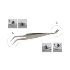 Lills Zeckenzange Aus Edelstahl 7 Lills Zeckenzange Aus Edelstahl -Hundebedarf Rabatte 666f3a3fb181b232ac8339dfb19af759aa845978 1488086 de DE f0e508c7b7855d95e1b35fa6dabdb0d0ba4555f76ECWsn