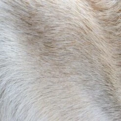 THE DOG IDEA Klassische Hundebürste Naturfibre -Hundebedarf Rabatte 676bdeb1a8deaabc9fd3f5e57dee401f0e69a9f8 1485270 de DE eacaeb5bfae7cf6612554a6aa926d1cc6dfba5918XqumA