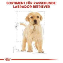 ROYAL CANIN Labrador Retriever Puppy 12 Kg -Hundebedarf Rabatte 686c892dd570ae8ec9147221ccd2e4feb5a4fe68 c0a3fdbed5796e52e3f09b24074eb594eee7df83