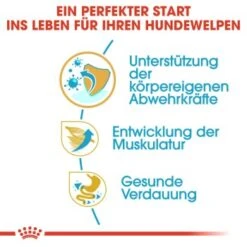ROYAL CANIN Boxer Puppy 12 Kg -Hundebedarf Rabatte 688da358c7c13e34db44e38709f501f61e164dee b934048524a4df1f17cf77c3abbb472833d5297e