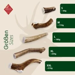 ChronoBalance Geweih Ganz (S) 2er Paket 10 ChronoBalance Geweih Ganz (S) 2er Paket -Hundebedarf Rabatte 6a2d01f3eb6870f2e91ba819862c3177a301ed88 1418690 de DE 9000f1c6c85d241db6c67b53955280ae842a85a4bQA7V6