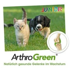 ArthroGreen Junior 25 G -Hundebedarf Rabatte 6a60d69f3d1c00ba35978cfcbf4d867d243561bc 1674241 de DE bed99a5dadc632a71630f6b3e1df7dd049168828anHF6x