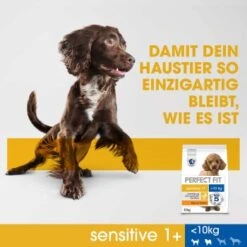 PERFECT FIT Sensitive Adult 6 Kg 10 PERFECT FIT Sensitive Adult 6 Kg -Hundebedarf Rabatte 6bd729623e7892aa1fa71ff8a86dd7e938665b70 1390283 de DE PerfectFit Sensitive SI6 F B2