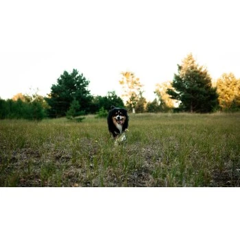 Mammaly Immu Push 110g 3 Mammaly Immu Push 110g – Bild 3