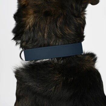 THE DOG IDEA Biothane Halsband Navy Neon Gelb XS 3 THE DOG IDEA Biothane Halsband Navy Neon Gelb XS – Bild 3