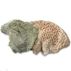 ProCani Buy Nature Pansen Grün 16x500 G -Hundebedarf Rabatte 71a8a83dd756fbb16781bf6cc22fc4476cf3d110 1408847 de DE Pansen Napf Aufsicht 2