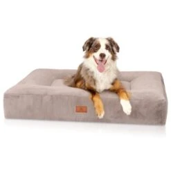 Knuffelwuff Orthopädisches Hundebett Mit Kuschelig Weichem Kaninchen Fellimitat Midland Beige/ Grau M-L -Hundebedarf Rabatte 79531db3c06c2e84298f756d392dabc78bff0eb3 1412260 de DE 41afb63f6fe742bd03c3792bee5d6527f99af078m2GGKe