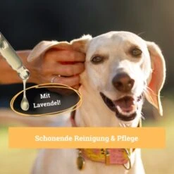 BeG Buddy Ohrreiniger Für Hunde, Juckreiz, Verschmutzung & Ohrmilben, Ohrenpflege Hund -Hundebedarf Rabatte 7b60a3022ebb426552422fbdc4dd8d77c64be8cf 1500787 de DE b51c870aaae4933941aa890d02263a49251d01d5OgvvjE
