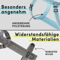 STUCH Geschirr Hund Gepolstert Schwarz XS -Hundebedarf Rabatte 7c1f0c8ff775c50c5b8126957113b6eb05f29ad4 1410595 de DE a4ae0b7a8ffc6f7f19d793017e898bdceeb314c9qzj83S