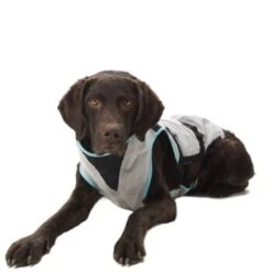 Trovet Suitical Kühlweste Dry Cool M -Hundebedarf Rabatte 7c6cb463b1c403c67dd5b0537c226320cd47afee 1321386 de DE Trovet suitical 5 Kopie