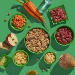 Fred & Felia FRED 10x390g Hirsch & Wildschwein Mit Hirse -Hundebedarf Rabatte 7d782162860eb9918d98fa185975fe1e292f8d5e 1421890 de DE 79abad996c8dbeee8393516e537bcfeb8ce29f09mtgB6b