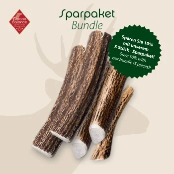 ChronoBalance Geweih Ganz (S) 2er Paket 2 ChronoBalance Geweih Ganz (S) 2er Paket – Bild 2