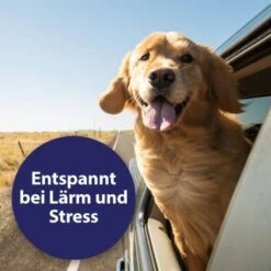 Canosept Home Comfort Beruhigungsspray Für Hunde 100 Ml -Hundebedarf Rabatte 83722164e39a9871cce2ee23a4ff550833c770e3 canosept home comfort content 03