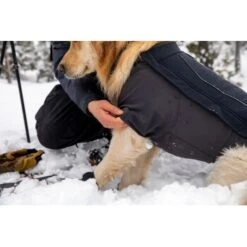Ruffwear Cloud Chaser™ Hundejacke Schwarz XXS -Hundebedarf Rabatte 839577c6525280e266f62f99f67ccc111fd75c4b 1369623 de DE 87ed046f15d6c099e4f33a0b92b8494c495a6d97bF4WS9