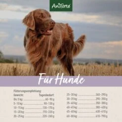 Aniforte Trockenfutter FarmsFamb - Herzhaftes Lamm Mit Süsskartoffeln 2 Kg -Hundebedarf Rabatte 84030a4e7f0bbe77852f726d3e6921c72feffdeb 1500901 de DE f076bfb780a1e0c5b62103d9844c7ce548beaf78QC290b