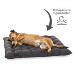 Pointer Liegekissen Urban Anthrazit M -Hundebedarf Rabatte 842d1daa01db6908ed762a834a71dbd87f775e68 ac8e745370771be38fea779f16103f0733ebd31f