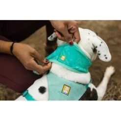 Ruffwear Swamp Cooler™ Kühlendes Halstuch Blau/ Türkis XXS -Hundebedarf Rabatte 84380b323534f706adb064c5f59bfe1f6f8adfcb 1639914 de DE 09b76313830836f68f333eee06c0a6bd83fbeec4Hirkw3