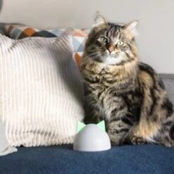 SureFlap Sure Petcare Hub -Hundebedarf Rabatte 852b1bc3a8108075f76c20971c6ccd4d4ae1aeee 64f4b5749fc73b0bad1049a6b67d5e53fa50ba07