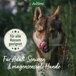 Aniforte Trockenfutter FjordSalmon - Frischer Lachs Mit Kartoffeln 2 Kg -Hundebedarf Rabatte 868cdd340c91776a806285e3d7e96964a3100b4a 1497806 de DE 633911faac3a9e48a06680ed5c3e6acdc44879d76EngNN