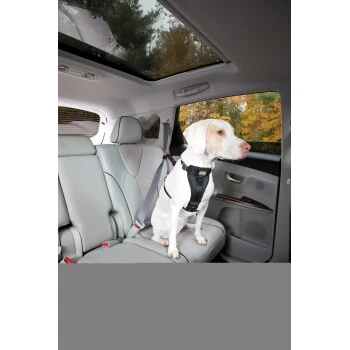 Kurgo Sicherheitsgeschirr XS 6 Kurgo Sicherheitsgeschirr XS – Bild 6