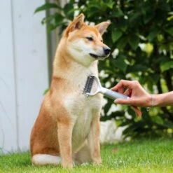 Schlitzohr Unterfellbürste Cookie -Hundebedarf Rabatte 8a282a966ab4bc47cbd028495077fe9505bb8eff 1484683 de DE f9a0182d0c3e6b7b158dd177c8fb6ca9048996c68U5RR2