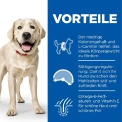 Hill's Science Plan Light Adult Large Breed Mit Huhn 18 Kg 11 Hill's Science Plan Light Adult Large Breed Mit Huhn 18 Kg -Hundebedarf Rabatte 8a2f8f0cfb00e9d10c3215f8584bc7fdb5ea7eb1 52742025902 4