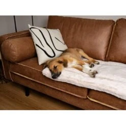 TrendPet Harmony Gefütterte Liegedecke Creme XS -Hundebedarf Rabatte 8a90b0a9111c9f8c3102709bd3f96183b3562c59 1390614 de DE 76a51ca8d6aad29feaec164f24c0d781c9ed8ce7YdJOW0