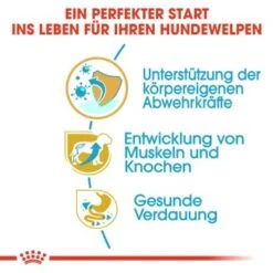 ROYAL CANIN Rottweiler Puppy 12 Kg -Hundebedarf Rabatte 8d21dda75d70b891262dc643821c279db43214b5 cec9e43c5fe78fcc413f4b92efb9158d947af728
