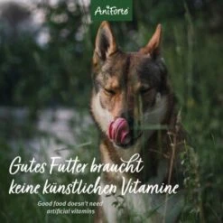 Aniforte Mix 2,4 Kg -Hundebedarf Rabatte 8ef37d4f4a6822e78aebb0abf46aba9243327ac5 1422197 de DE 12b8cfe33ee675107bc8329d05c3a48ecec8adbadsCAGs