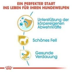 ROYAL CANIN Yorkshire Terrier Puppy 1,5 Kg -Hundebedarf Rabatte 900669fdb2a03d007f9e4a13ada3e718bb10bd52 f1a1aa71333fcd4eb592993ae4f8ec88c5bd9347