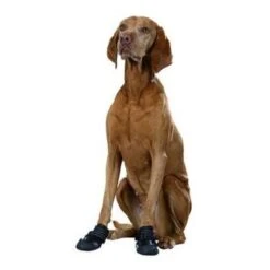 Trixie Pfotenschutz Walker Active XS-S -Hundebedarf Rabatte 913e0436c3a3da0ee72c175061e2aad6b880d611 2d699f664134f6aa41990e50d6e62d4d2fa80c9f