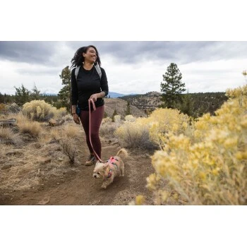 Ruffwear Flagline™ Geschirr Pink L-XL 6 Ruffwear Flagline™ Geschirr Pink L-XL – Bild 6