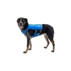 Ruffwear Trail Runner™ Weste Blau XS -Hundebedarf Rabatte 98442c3f4ada02dc38bbe918031392b2ba7e1943 1639640 de DE 57b978069b1aa95a705eb1af32811decb2e9cfecAOoih7