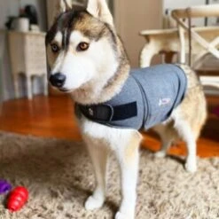Thundershirt Beruhigungsweste Grau XS -Hundebedarf Rabatte 9a1e301e33f1361e91f7c9989e135033c3825116 854880001141.PT09