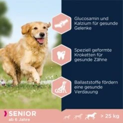 EUKANUBA Senior Large & Giant Breed Lamm & Reis 12kg -Hundebedarf Rabatte 9a800125a21c4150fa4e12ea89fb6d238d0ecc05 dc3f815ea1bcea675af23baf846f997924ddadfc
