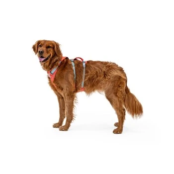 Ruffwear Flagline™ Geschirr Pink L-XL 2 Ruffwear Flagline™ Geschirr Pink L-XL – Bild 2