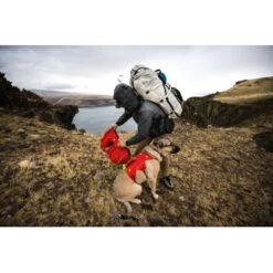 Ruffwear Palisades™ Hunderucksack S -Hundebedarf Rabatte 9c538d7ee351a6351261523d7827ff562558bc44 1444346 de DE 7e4484d919f848038e59e304ba140f6dbd9741abv6PWla