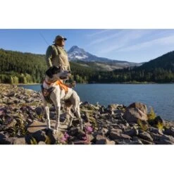 Ruffwear Front Range™ Halsband Rubin M 11 Ruffwear Front Range™ Halsband Rubin M -Hundebedarf Rabatte 9d379602355f034ae9971211c6e6a3e5df163921 1651572 de DE 909910a450e598cc9a7c8e716806e7fc60aacb0dycwxLj