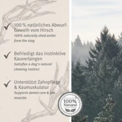 Aniforte Hochland Hirschgeweih Large -Hundebedarf Rabatte 9dcf0f27be6849c765e8a9e12cd266dd1588a12d 1656976 de DE ac8dd6a0786bd0be0560fc7bc4de242434c219127XG5KZ