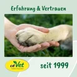 CdVet Ohrenpflege 50ml -Hundebedarf Rabatte 9ed4fc954232c5e8e57d3234b374c19f2505100c 1322257 de DE 9de31ae422c889f65e12a1085ee6ba81b11de6a36QDt4Q