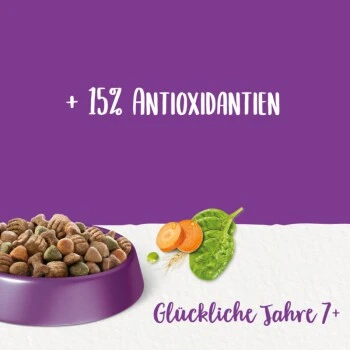 Beneful Purina Glückliche Jahre 7+ Mit Huhn Und Gartengemüse 12 Kg 4 Beneful Purina Glückliche Jahre 7+ Mit Huhn Und Gartengemüse 12 Kg – Bild 4