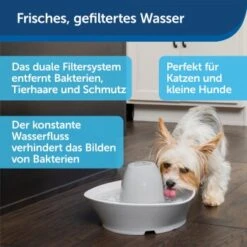 PetSafe Trinkbrunnen Streamside -Hundebedarf Rabatte a4863bb01c9defc206f3abadb7407b11767619bd 1423698 de DE d7c376710365041814bb26a7ca9d55a6a9011fd8Nm0GoI