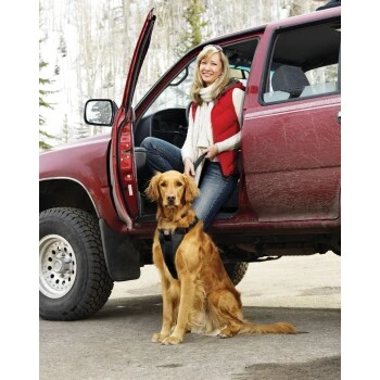 Kurgo Sicherheitsgeschirr XS 2 Kurgo Sicherheitsgeschirr XS – Bild 2