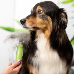 Moser Unterwollrechen -Hundebedarf Rabatte a9457afef8cc9854b1cc05428060e6aca1aa62d7 f209ef3f70da272484eca7394d5156f09925de7d