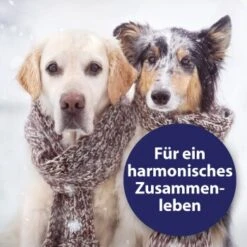 Canosept Home Comfort Beruhigungsspray Für Hunde 100 Ml -Hundebedarf Rabatte adccfc5a19c76ad9b128183d6445b9a0ce37b36d 1265539 de DE Canosept 2