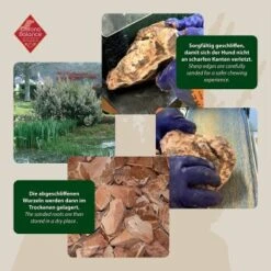 ChronoBalance Kauwurzel Baumheide (M) 2er Paket -Hundebedarf Rabatte b06b54c93bd6e51de6c4ae60bb85ff995c53b4df 1418714 de DE ba8b2a31068658c9820512bd79f25900dbe0cd09EnWSEP